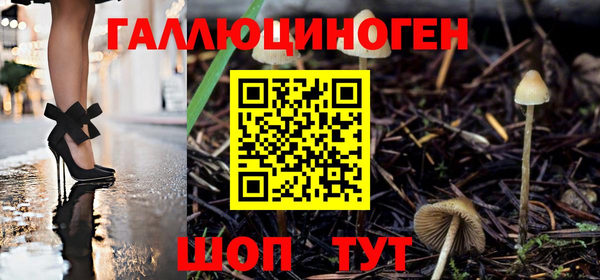 Чебаркуль  Псилоцибиновые грибы мухоморы  Вход с VPN 