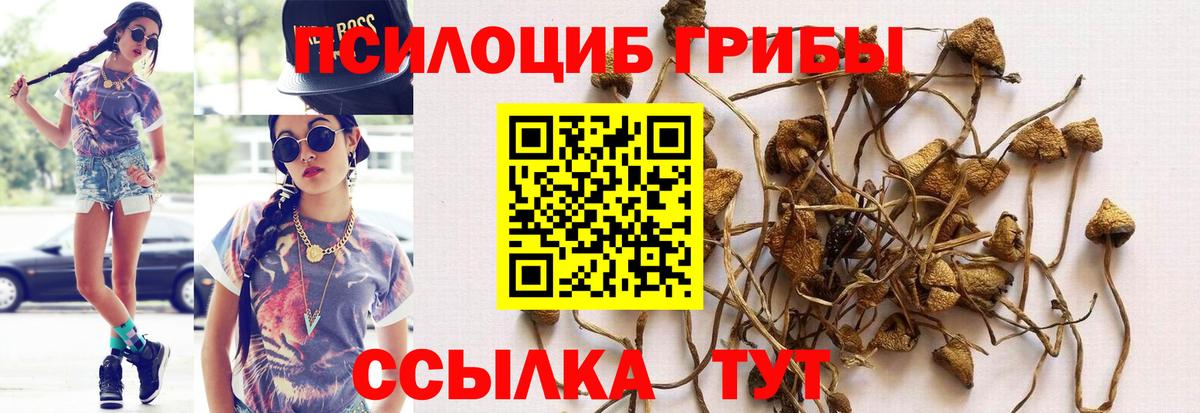 Псилоцибиновые грибы мухоморы Чебаркуль